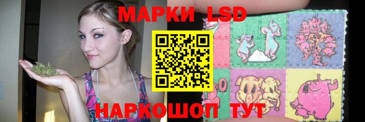 LSD-25 экстази  блэк спрут ССЫЛКА  Вход с VPN  Первоуральск  LSD-25 экстази ecstasy  ЛСД экстази ecstasy 