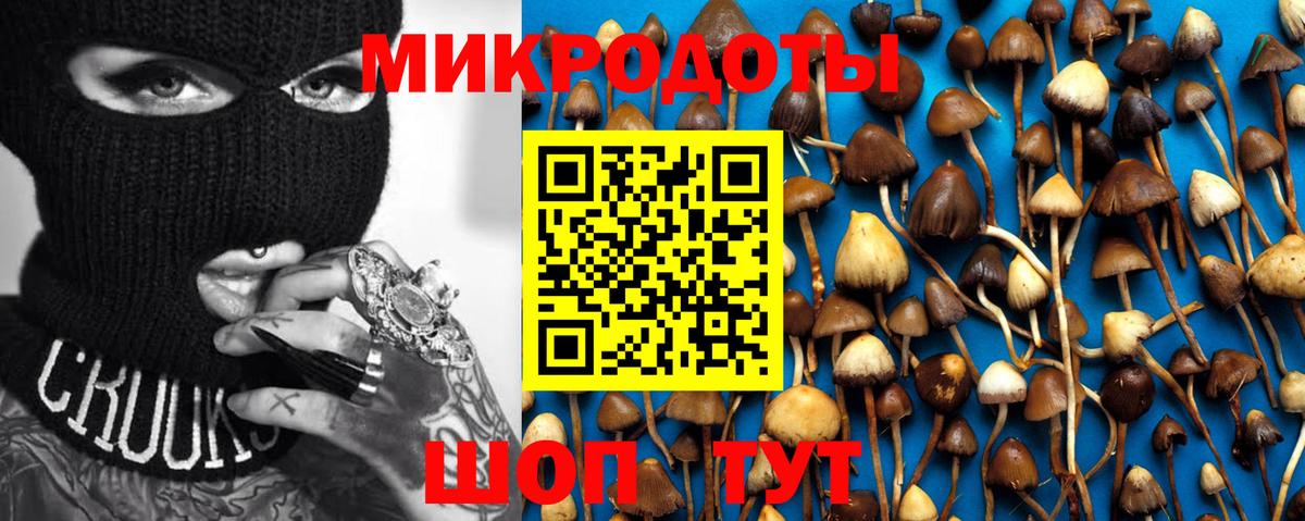 Псилоцибиновые грибы MAGIC MUSHROOMS Первоуральск