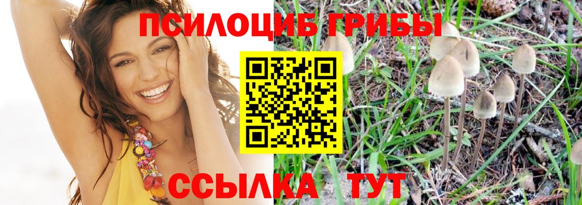 Первоуральск  Псилоцибиновые грибы Psilocybe  Вход с VPN 